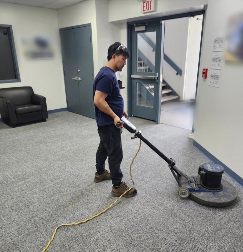 blue jays carpet cleaning